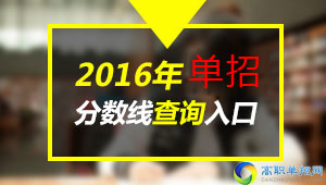  2019年四川交通职业技术学院高职单独招生分数线