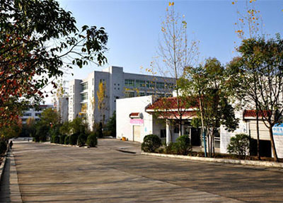 å­¦æ ¡é©¬è·¯