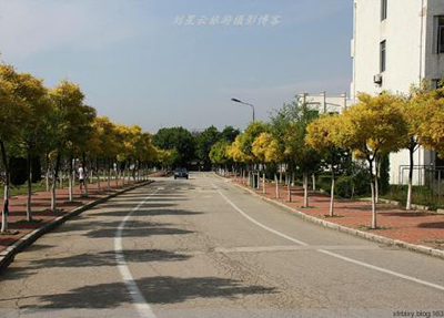 成都航空职业技术学院师资如何 王牌专业介绍