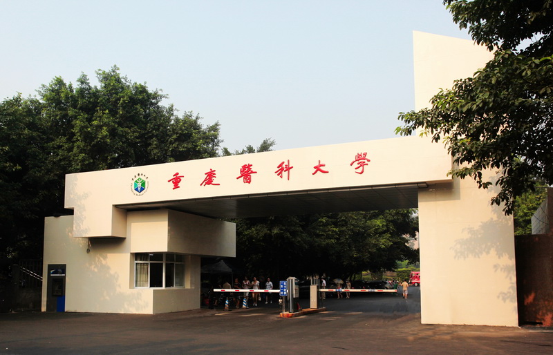 重庆医科大学袁家岗校区校门