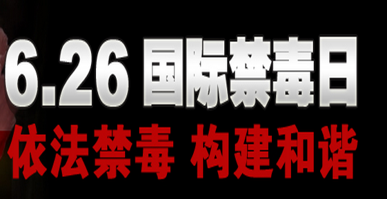 2020年社区国际禁毒日宣传活动方案（两篇）