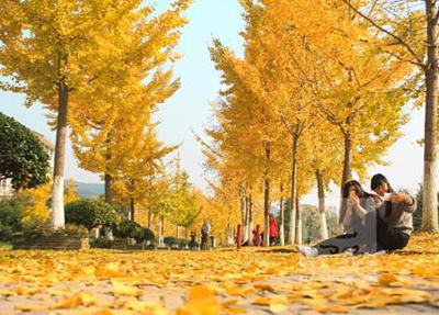 å­¦æ ¡é£æ¯