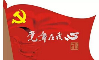 学习党章心得体会2020年,学习中国共产党党章心得体会