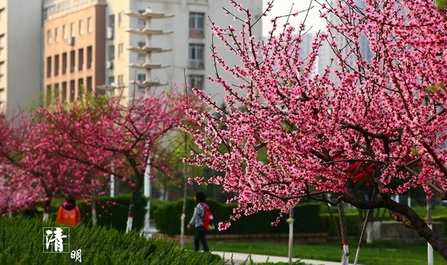 西安邮电大学怎么样 评价排名好不好(10条)