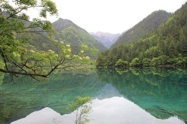 红河州高级技工学校怎么样？好不好