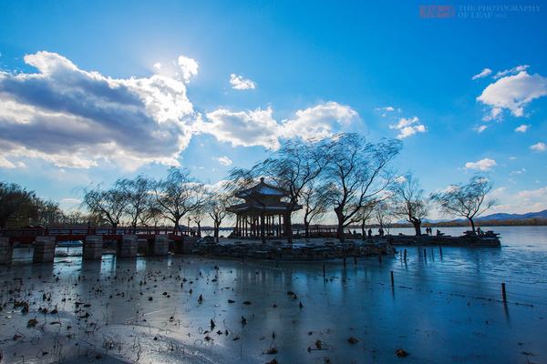 成都市中医药大学怎么样