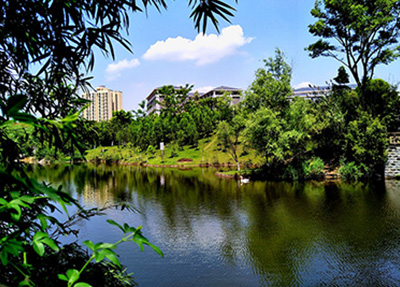 åå·ç¹é¥ªå­¦é¢