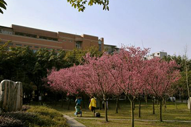 成都大学中职部（四川成都卫生学校）卫校学费