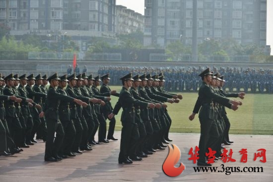 2020年丽水市征兵网上报名时间条件,丽水市退伍军人安置费政策