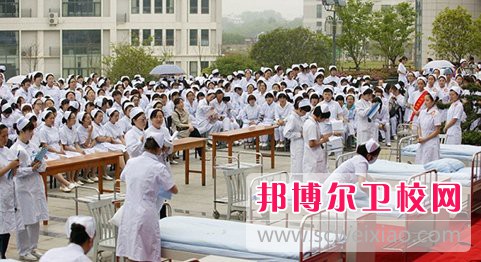 泸州2020年设有卫校的公办大专学校