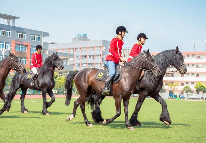 四川科技职业学院怎么样？好不好就业呢？