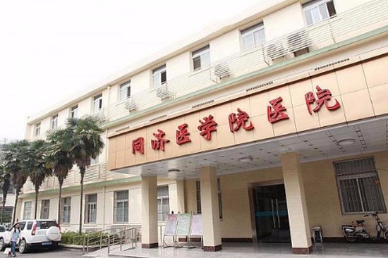 华中科技大学同济医学院招生老师QQ及电话