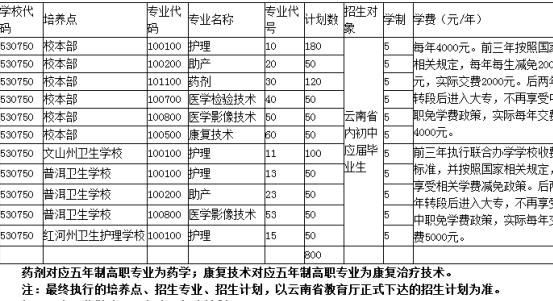 红河卫生职业学院五年制大专2020年招生简章