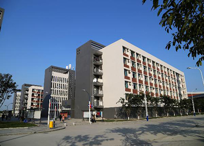 公立大学