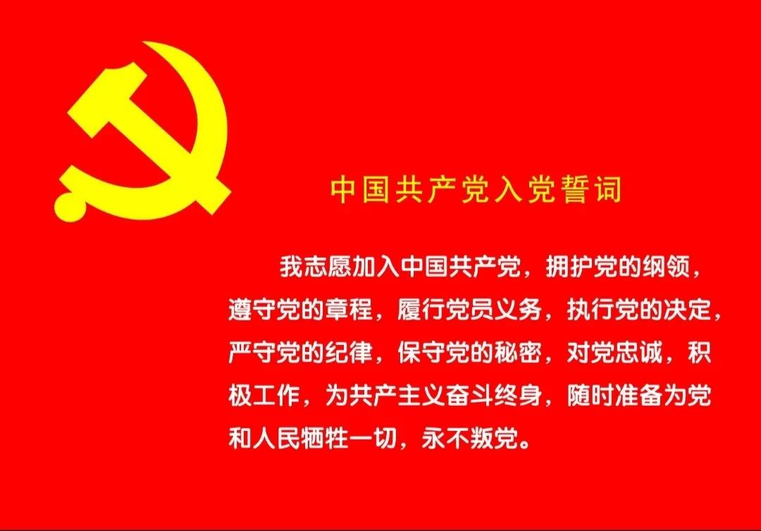 汉口学院学生第三党支部主题党日学习活动