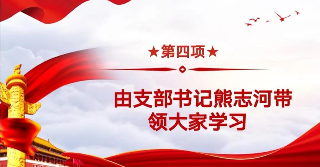 汉口学院学生第三党支部主题党日学习活动