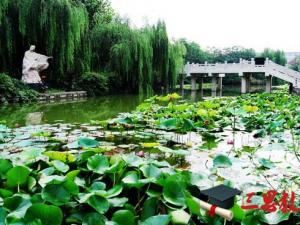 河北美术学院怎么样 评价排名好不好(10条)