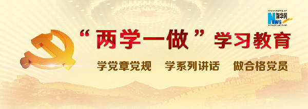 2020年党支部学习两学一做工作计划表