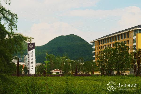 贵州医科大学北校门