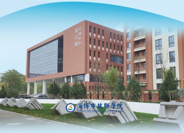 淄博市技师学院信息工程系都开设了哪些专业？