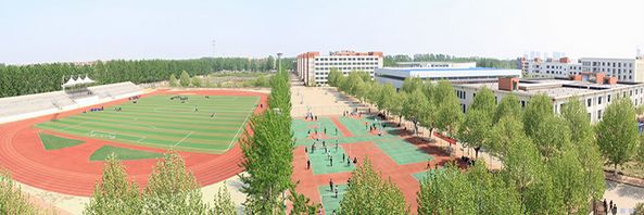 鲁南技师学院：技能+学历双丰收