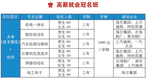 青岛海湾理工专修学院高薪就业冠名班都有什么专业？