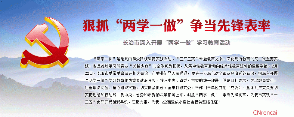 如何贯彻中央两学一做实施方案？