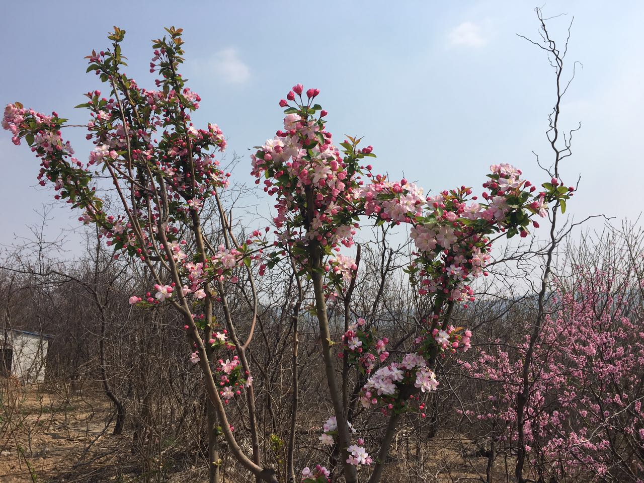 高职单招你考虑了吗？到底值不值得考？