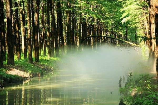 介绍贵州航空职业学校的空乘专业