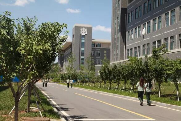 山东公路技师学院2021年新生入学须知