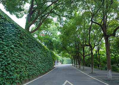 校园风景