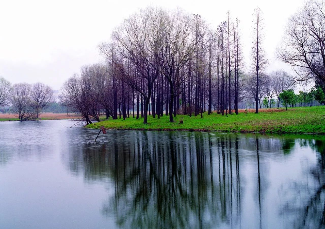 èªç¶é£å,èªç¶é£æ¯,æ± å¡ åå½± æ¯è²,èªç¶é£å0247