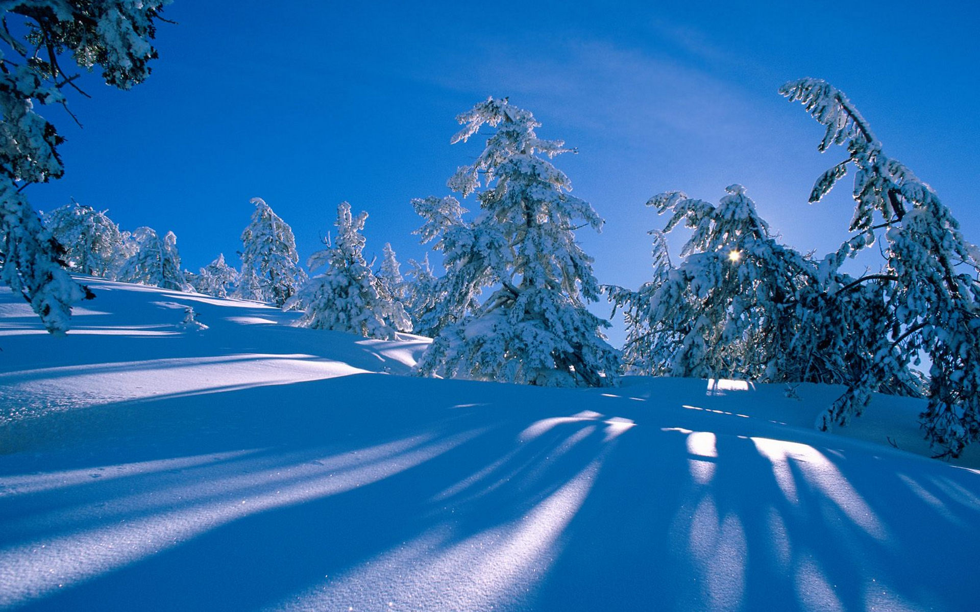 éªæ¯å¾ç ç¾ä¸½å¬å¤©éªæ¯å£çº¸31