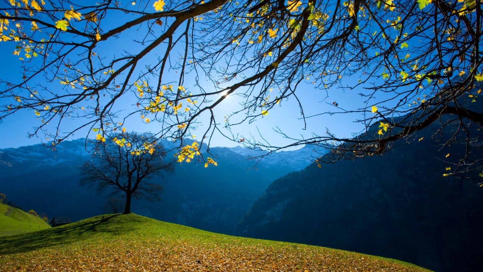 å±±æ°´é£æ¯å£çº¸å¤§å¨