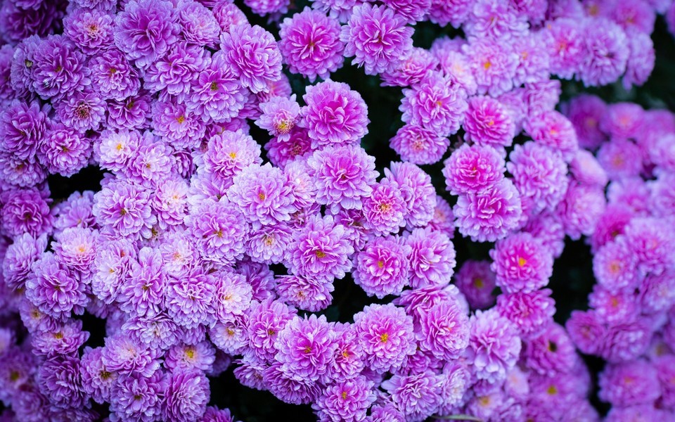 è±æµ·å¾çå¤§å¨å¯ç¾é£æ¯å£çº¸