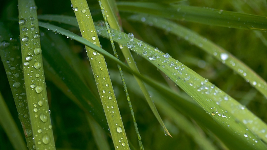 å±±æ°´é£æ¯å¾ç èªç¶é£åå£çº¸ 