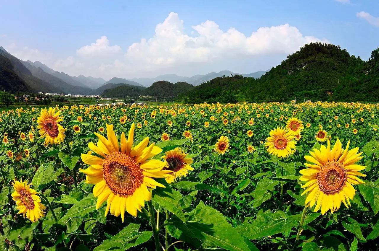 æ¶ªéµå¤§æ¨è±è°· æ¯åºä¾å¾