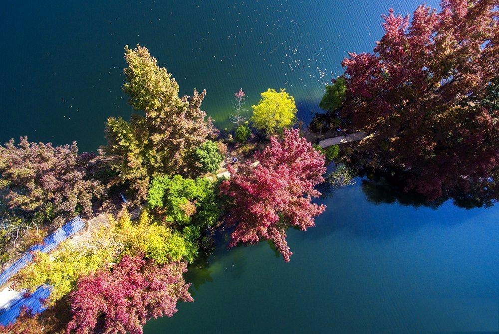 èªææ±è¥¿ä¸ç¹âæ«å¶çº¢äºäºæè±âç»ç¾ç§æ¯æ±è¥¿ä¸ç¹å¿é¡æ°´æ¹çèµ£åæ æ¨å­é,ä¸ççæ«å¶å·²æ¢ä¸äºçº¢è²è¡£è£³,åç°âå±æå°½æå±±æ°´ç¾,æ«å¶çº¢äºäºæè±âçç»ç¾æ¯è²,å¸å¼ä¼å¤æ¸¸å®¢æµè¿äºæ­¤ã   