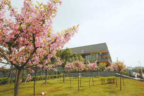 四川师范大学校园环境介绍