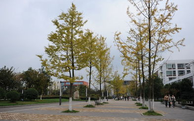 成都师范学院校园风景