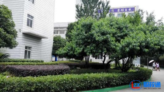 成都市中山职业技术学校具体位置在哪里