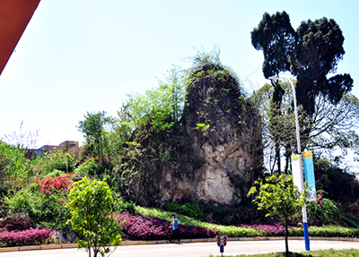 学校风景.jpg