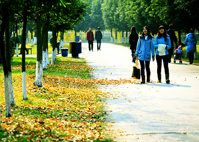 学校风景