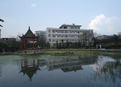 公立学校