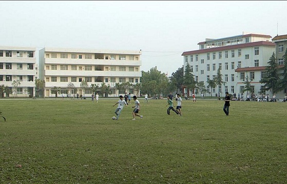 中和学校