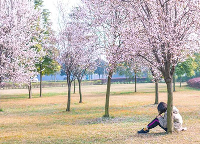 æ³¸å¿çµå­æºæ¢°å­¦æ ¡