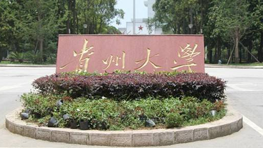 2020年贵州有哪些大学是二本(附录取投档线)