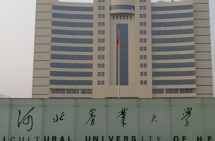 河北农业大学门口图片图片